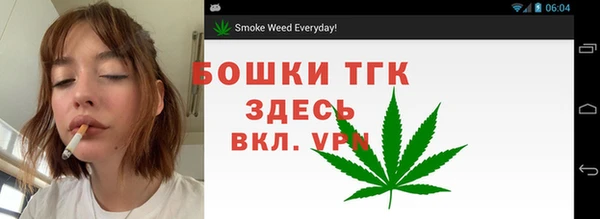 индика Белоозёрский