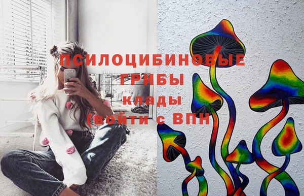 мет Белокуриха