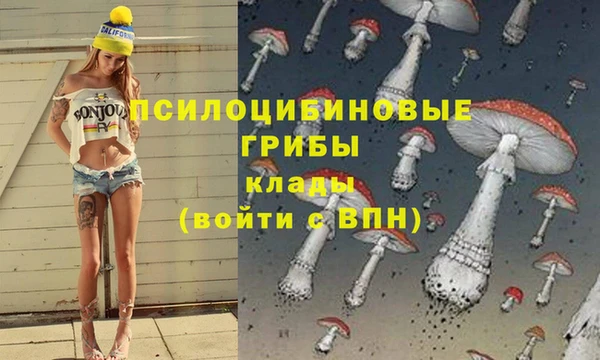 ALPHA PVP Беломорск