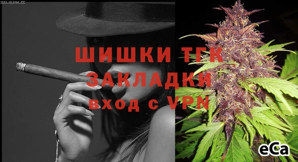 индика Белоозёрский