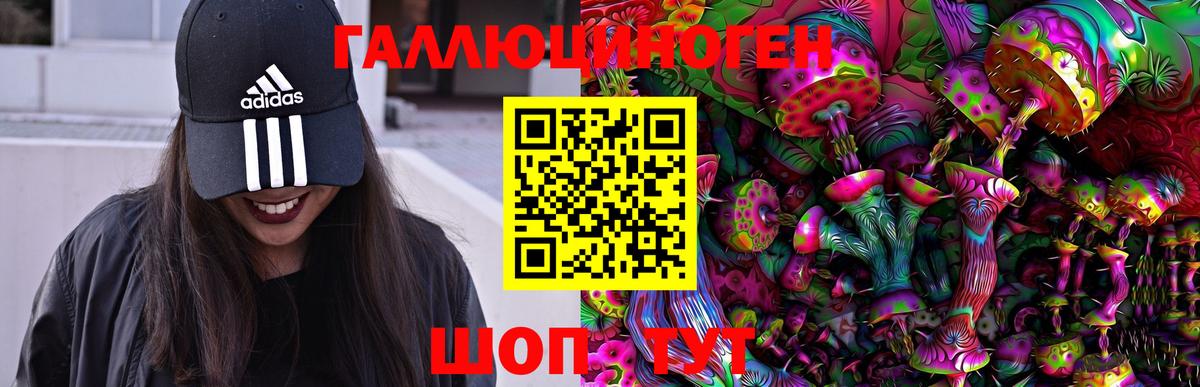 Галлюциногенные грибы Psilocybine cubensis  Вход с VPN  Соль-Илецк 