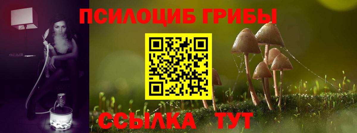 Псилоцибиновые грибы ЛСД Соль-Илецк