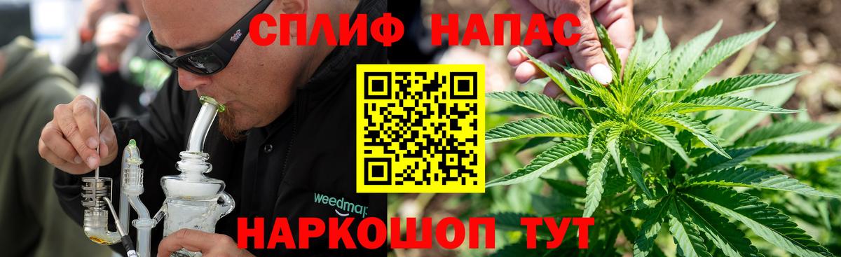 Шишки марихуана конопля Соль-Илецк